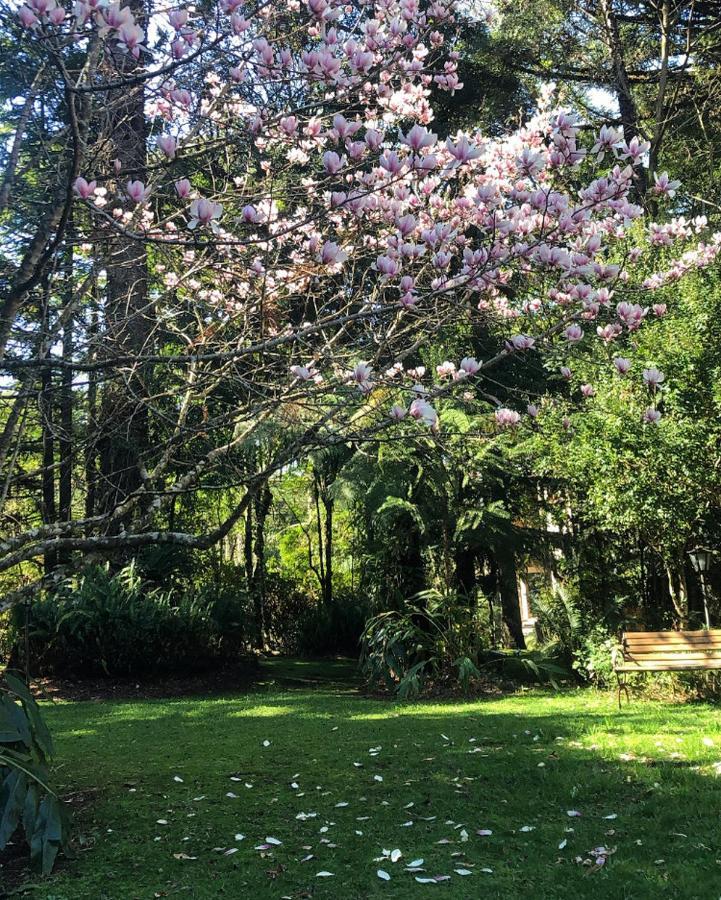 Villa Casa Goldoni Gramado Extérieur photo