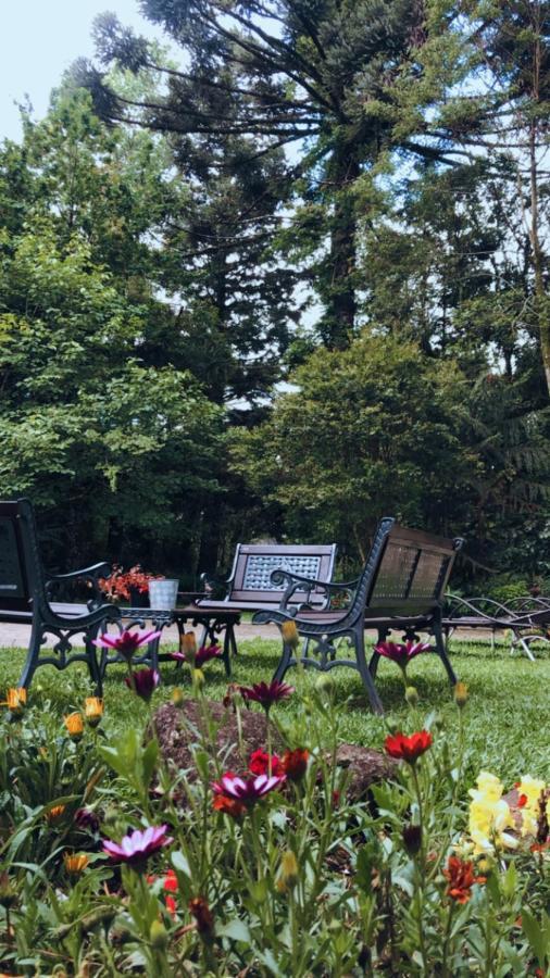 Villa Casa Goldoni Gramado Extérieur photo