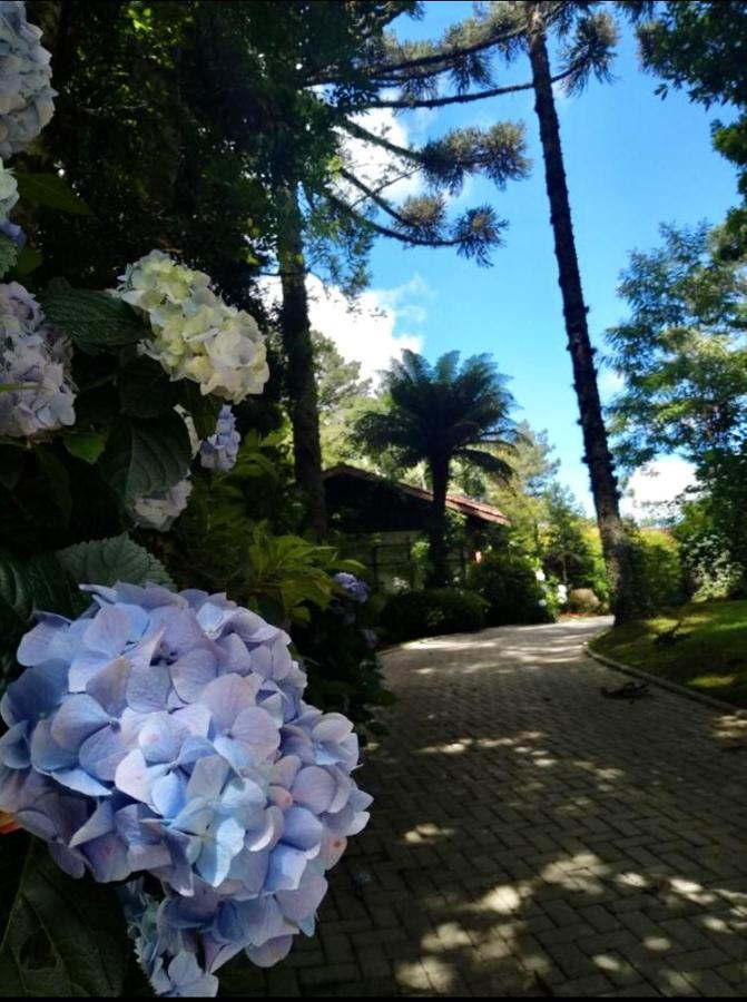 Villa Casa Goldoni Gramado Extérieur photo