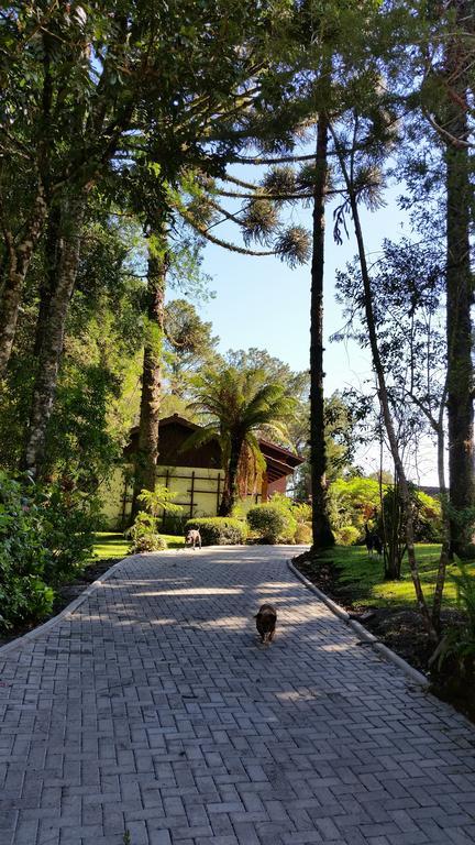Villa Casa Goldoni Gramado Extérieur photo