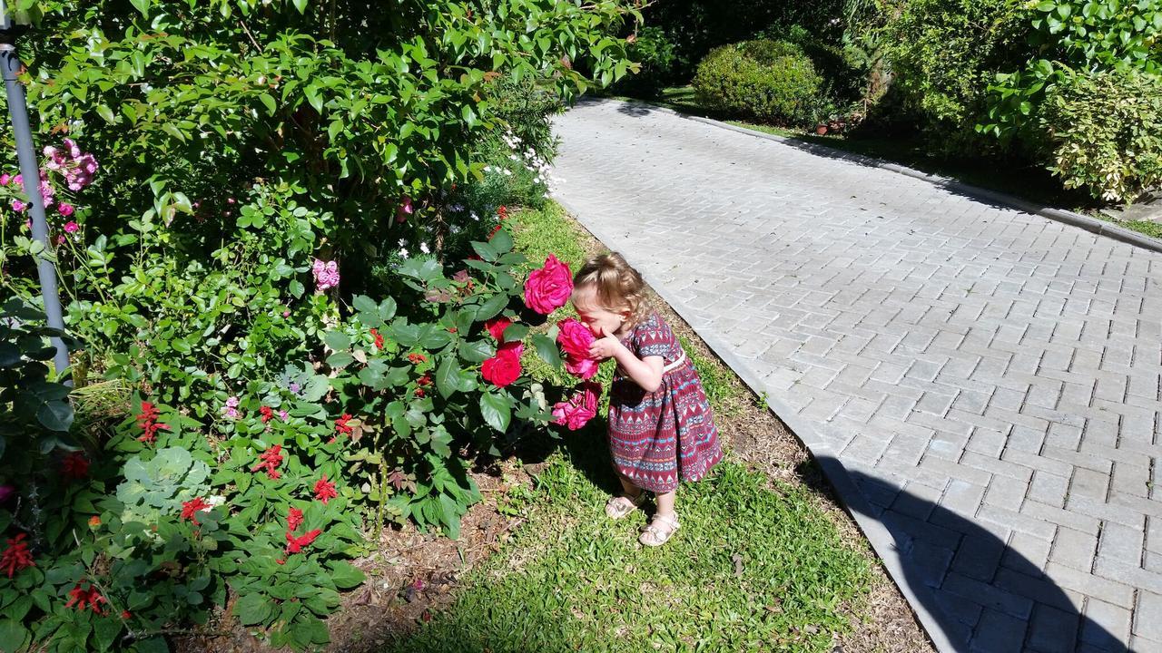Villa Casa Goldoni Gramado Extérieur photo